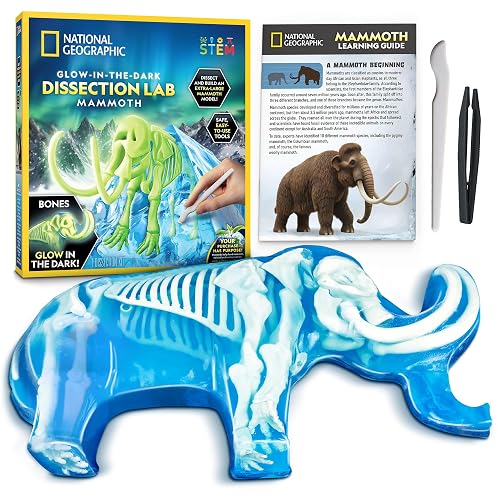 National Geographic Mammoth Dissection Kit and Anatomy Lab for Kids | Glow-in-the-Dark Skeleton, 17 Bones, Nearly 1-Foot Model, Kid-Friendly Dissection Tool, Ice Age Science, Birthday Gift