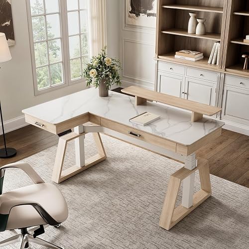 EUREKA ERGONOMIC Electric Standing Desk with Dual Drawers,63 Inches Height Adjustable L-Shaped Office Desk,Sit Stand Desk Ergonomic Executive Desk Computer Workstations with Monitor Stand,Left/White