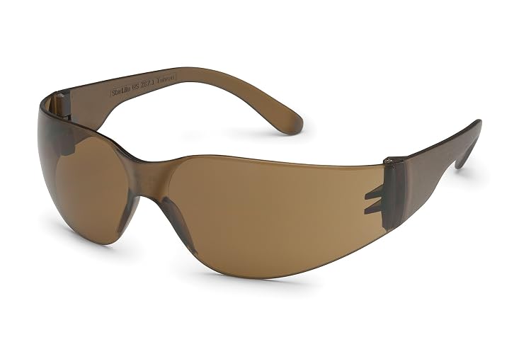Gateway Safety 4680 UL-Certified StarLite Safety Glasses, Clear Lens, Clear Temple (Pack of 10)