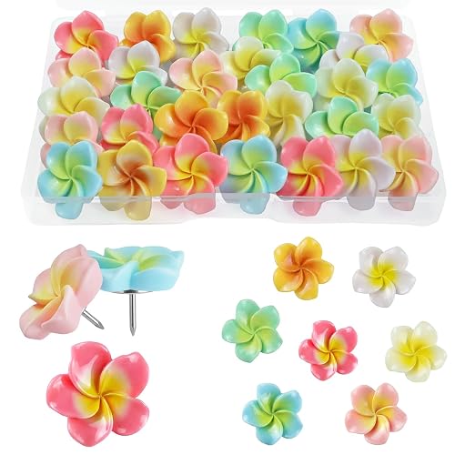 30pcs Flower Cabochons Flatback Plumeria Flower Push Pins in 7 Colors Cute Office Decor for Women Cork Board Bulletin Board, Photos Wall Maps and Other Offices Schools Supplies Christmas Decoration