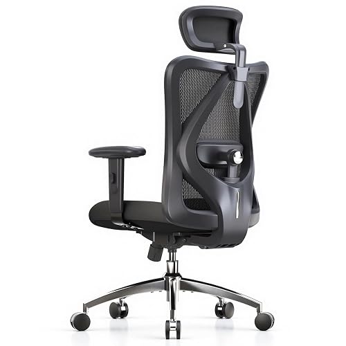 SIHOO M18 Ergonomic Office Chair, Mesh Back Desk Chair with Headrest | Adjustable Lumbar Support, Hold 330lbs Computer Chair with 2D Armrests & Wide Cushion, Tilt Lock, for Home Office - Black