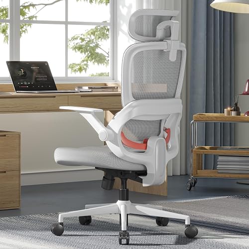 SIHOO B100 SE Ergonomic Office Chair, Desk Chair with Lumbar Support | Soft Memory Foam, Flip-up Armrests, 3-Gear 135° tilt Computer Chair for Home Office, Hold 300 LBS - Grey
