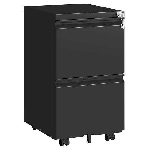 Small File Cabinet for Home Office,Metal Mobile Organizer Letters/Legal/A4 | Fully Assembled,Under Desk,Rolling,Central Locking System,2 Drawer,Pencil Tray,Hanging File Bar,Anti-Tipping Caster
