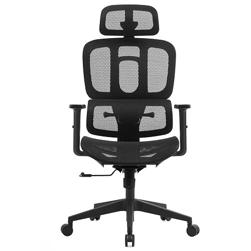 High Back Computer Chair Office Chair with Rocking Function with Adjustable High Back Lumbar Support Tilt Function,Comfort Wide Seat,Height Adjustable for Home &Office(Black)