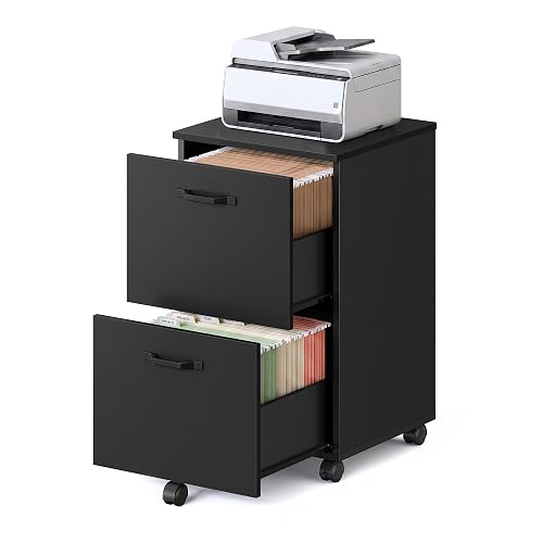 VASAGLE 2-Drawer File Cabinet, Small Rolling Filing Cabinet | Printer Stand, for A4, Letter-Size Documents, Home Office, Assembly Required, Ink Black, CUSTOS Collection UOFC040B16