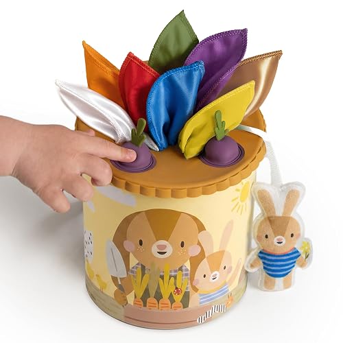 Taf Toys Baby Tissue Box Sensory Toy - Montessori Toys for Babies 6-12 Months Must Haves, Pulling Scarf & Beet Pop-It Toy, Infant Fine Motor Skills, 6 7 8 9 10 Month Old Boy Girl Birthday Gift