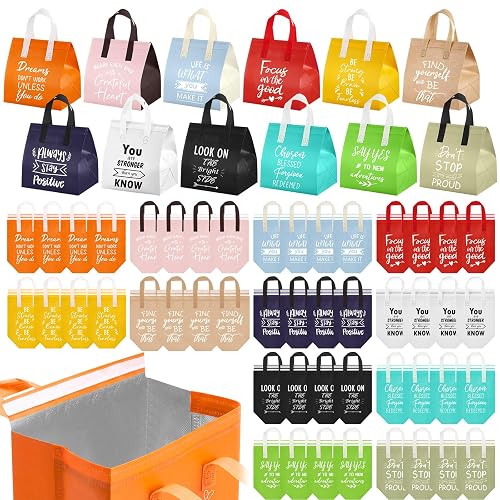 Didaey 48 Pcs Motivational Gift Bags Bulk with Handle, Inspirational Bags | Colourful Insulated Bag, 9.5 x 6 x 9.5 Inch, Inspirational Theme for Team Building, Students, Volunteers & Group Events
