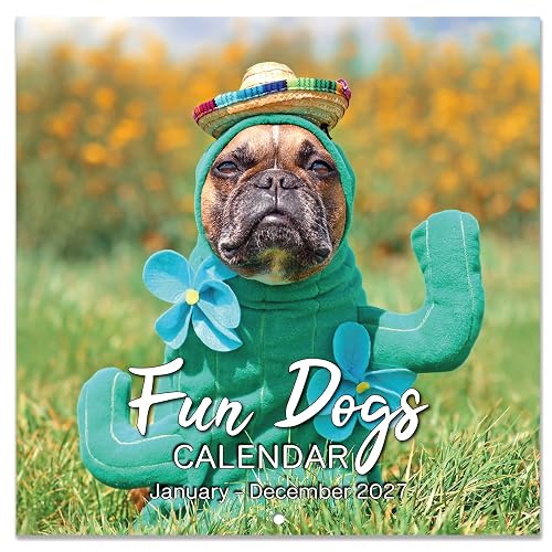 2027 Calendar - 2027 Wall Calendar Cute Puppies, JAN. - DEC. 2027 | 12" x 12" (Closed), 12" x 24" (Open), Funny Dog Gag Gift, Dog Lover Gift, 2027 Calendar with Holidays, Thick Paper