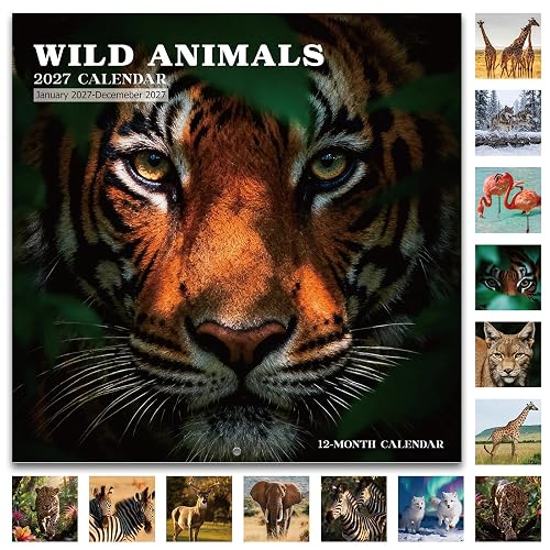 Wall Calendar 2027, Wild Animals Illustrated Calendar, 12 Months, 12" x 12" | Monthly Planner Calendar, 12"× 24" Opened, Gift & Daily Planner