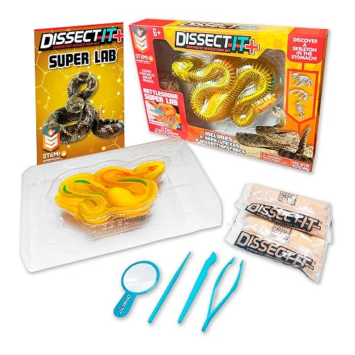 Dissect-It, Rattlesnake Dissection Kit, STEM Toys for Kids, Ages 6+ | Rattlesnake Anatomy, Examine Realistic Organs & Complete Skeleton, Then Rebuild with 2 Gel Refill Packs for STEM Learning