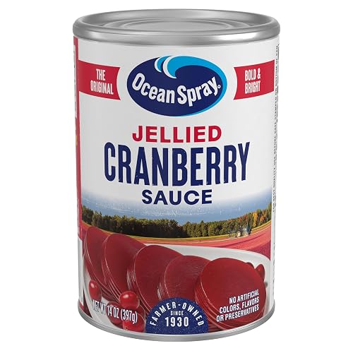 Ocean Spray Jellied Cranberry Sauce, Canned Side Dish, 14 Oz Can (Pack of 1)