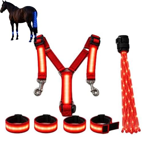 LED Equestrian Glow Safety Kit, Light-Up Horse-Riding Set | Horse LED Leg Straps, LED Horse Tack, Adjustable Chest Harness, High Visibility Night Riding Equipment
