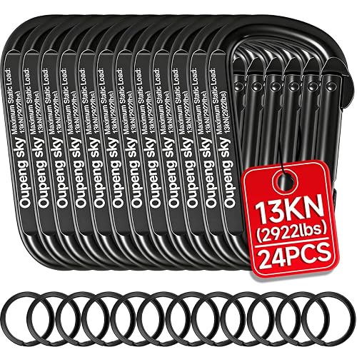 Carabiner Clip - Heavy Duty Carabiners,Carabeaner D Ring Shape,Small 2.5" 800lbs,Large 3" 13KN (2922 lbs),Key Chain Clip Hook for Camping, Hiking,Backpacking or Other Outdoor Activities.