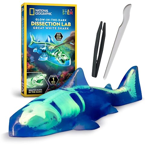 National Geographic Glow-in-the-Dark Shark Dissection Kit for Kids | Glow-in-the-Dark Great White Model, 12 Bones and Organs, Refill Pack, Kid-Friendly Tools, Shark Anatomy, Birthday Gift