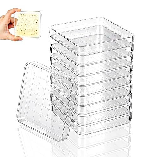 DOITOOL 20 Pcs Square Petri Dishes with Lids, 10x10cm Clear Plastic Sterile Culture Plates Agar Plates for Lab Experiments, School Science Projects, Mycology and Agar