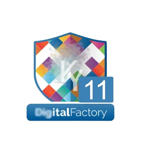 DTF RIP Software V11 for Digital Factory Compatible with 8550 L1800 4900 7890 9890 P5000 P6000 P7000 P9000 Printers Includes USB Dongle(V11 Dongle Version)