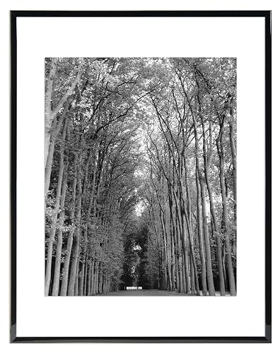 MCS 11x14 Inch Floating Flex Frame, Black (24304)