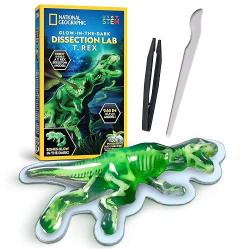 National Geographic Glow-in-the-Dark T. Rex Dissection Lab Kit for Kids | Synthetic Dinosaur, 9.5-Inch Glowing Skeleton Model, Refill Pack, Dinosaur Anatomy, STEM Activity, Birthday Gift