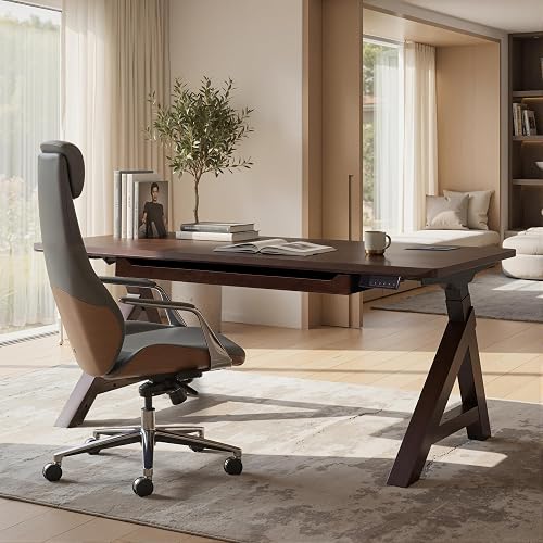 FLEXISPOT WoodiX Solid Wood Executive Standing Desk with Drawer | 63 x 30 Inch Mid-Century Modern Sit-Stand Desk, Cable Management and Power Outlet, Dual Motor & 220 LBS, Walnut