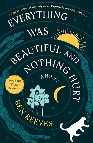 Everything Was Beautiful and Nothing Hurt: A Novel