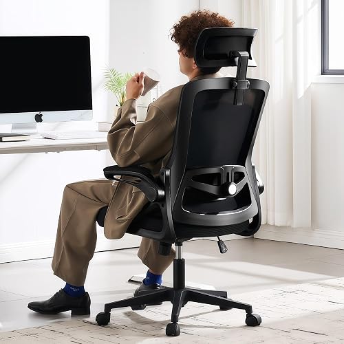 Fizzin Office Chair Mesh Computer Chairs with Adjustable Lumbar Support | Ergonomic Office Chair, Home Office Desk Chairs with Thickened Cushion and Headrest, Comfy Gaming Chair (Black)
