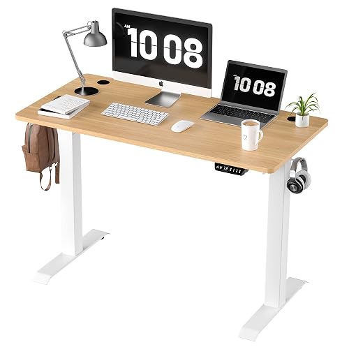 Shintenchi Standing Desk, Height Adjustable Electric Sit Stand up Desk, Ergonomic Rising Computer Table, 48x24 Inch Modern Lift Gaming Desk Workstation for Home Office, White & Walnut