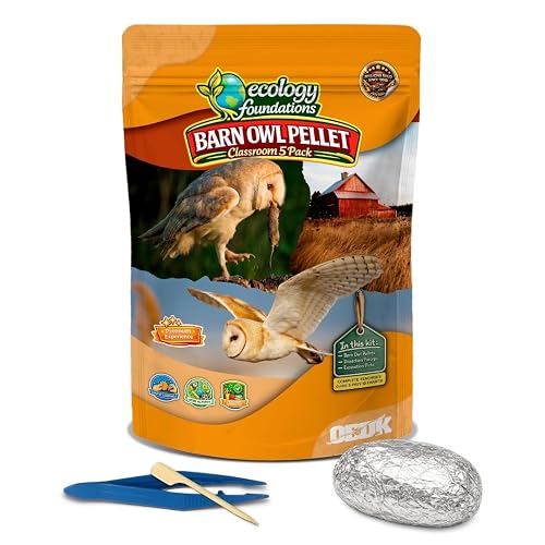 Barn Owl Pellets for Dissection for Classrooms, Large 5-Pack Kit by OBDK | Forceps, picks and instructor guide included, life science and ecology, bone sorting chart, hands-on lab activity