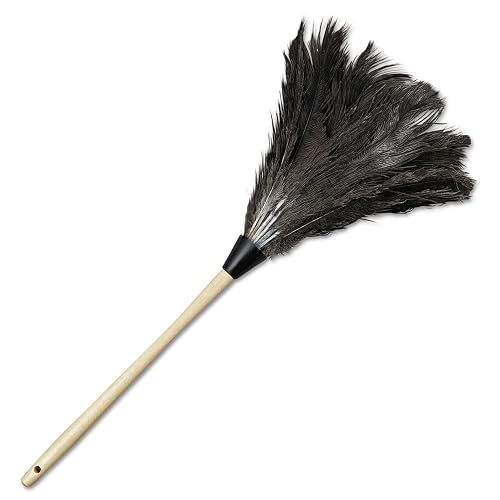 Boardwalk Professional Ostrich Feather Duster, 7" Handle