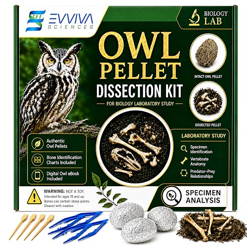 ES EVVIVA SCIENCES Owl Pellet Kit - Dissect 4 Real Owl Pellets w/Tools & PDF Bone Charts - Science Education Kit for Ages 15+ - Hands-On Animal Biology Science Lab Activity - Includes Owl eBook