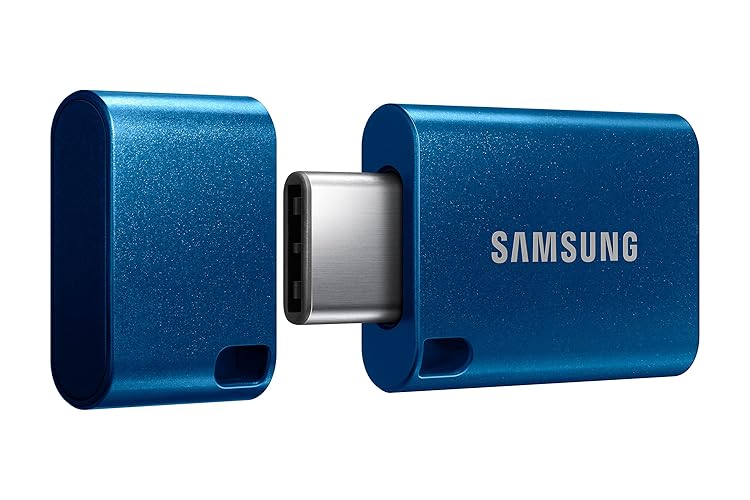 Samsung Type-C USB Flash Drive 256GB, USB 3.2 Gen 1, Up to 400MB/s | Transfer 4GB Files in 15 Secs, Compatible w/ USB 3.0/2.0, Waterproof, Storage for Computers & Mobile, Blue (MUF-256DA/AM)